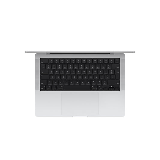 14-inch MacBook Pro: Apple M4 chip with 10-core CPU and 10-core GPU, 1TB SSD - Silver