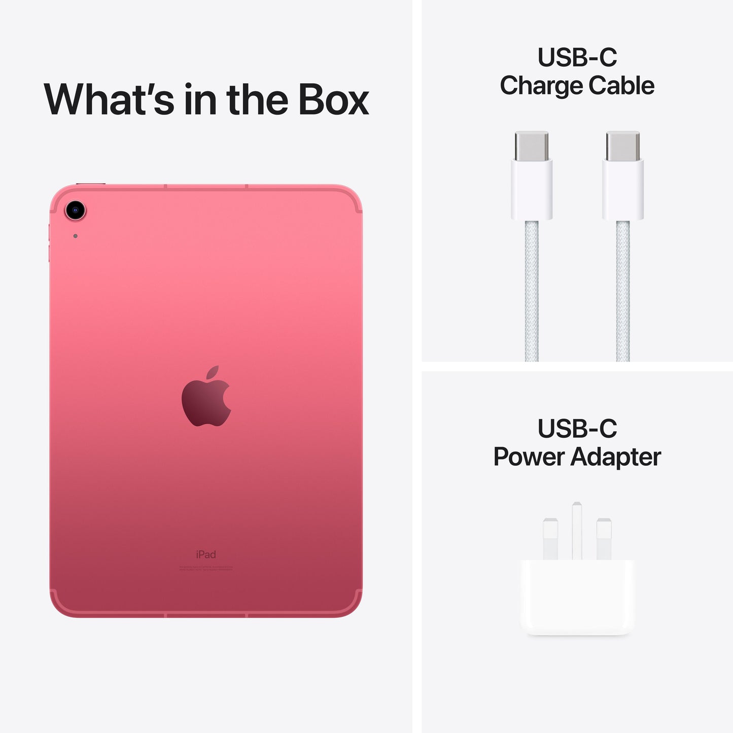 10.9-inch iPad Wi-Fi + Cellular 64GB - Pink (10th generation)