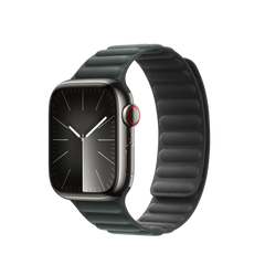 41mm Evergreen Magnetic Link - S/M