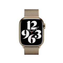 41mm Gold Milanese Loop