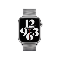 41mm Silver Milanese Loop