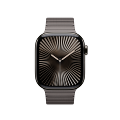 42mm Slate Link Bracelet
