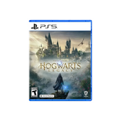 PS5 HOGWARTS LEGACY (R3)