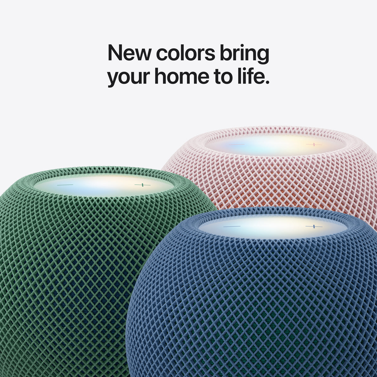 IMG-22172972