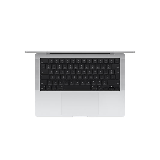 14-inch MacBook Pro: Apple M4 chip with 10-core CPU and 10-core GPU, 1TB SSD - Silver