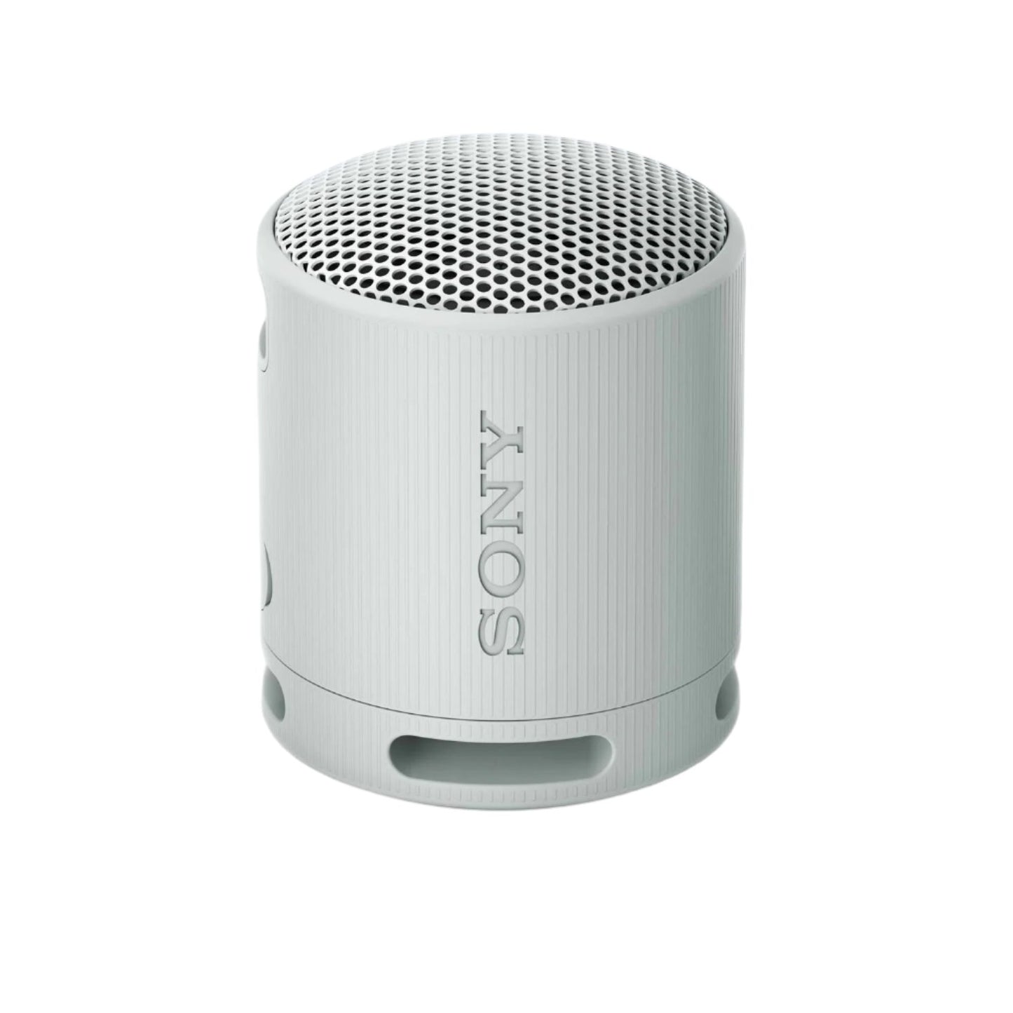 Sony XB100 Portable Wireless Speaker - Grey (SRS-XB100/HCE)