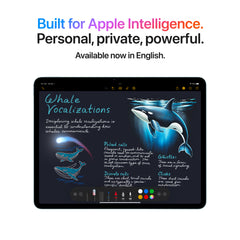 13-inch iPad Air Wi-Fi 256GB - Space Gray (M3)