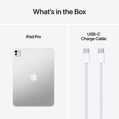 11-inch iPad Pro Wi-Fi + Cellular 256GB Standard Glass - Silver (M4)