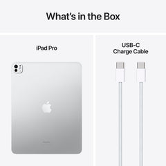 13-inch iPad Pro Wi-Fi 256GB Standard Glass - Silver (M4)