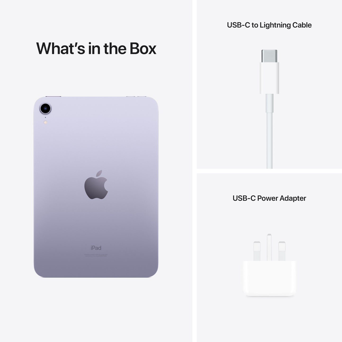iPad mini Wi-Fi 256GB - Purple