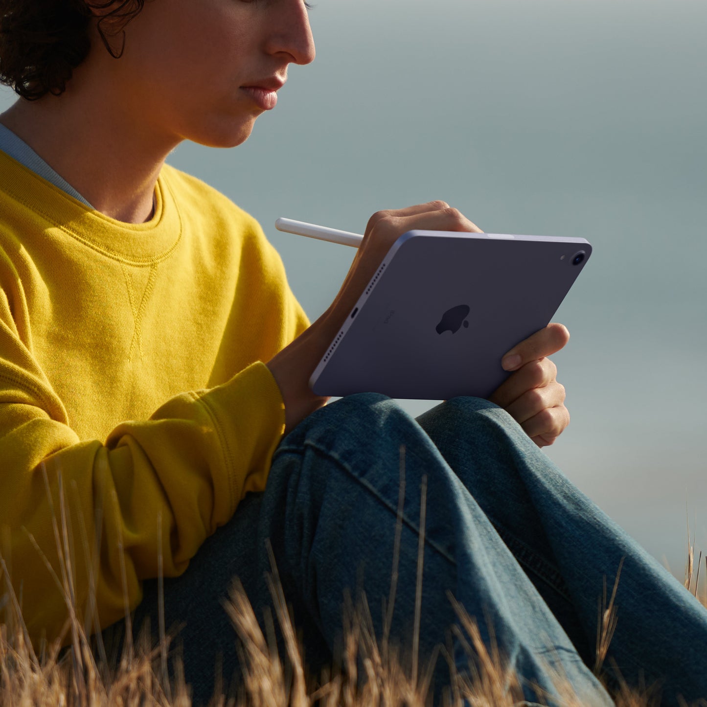 iPad mini Wi-Fi 256GB - Space Grey