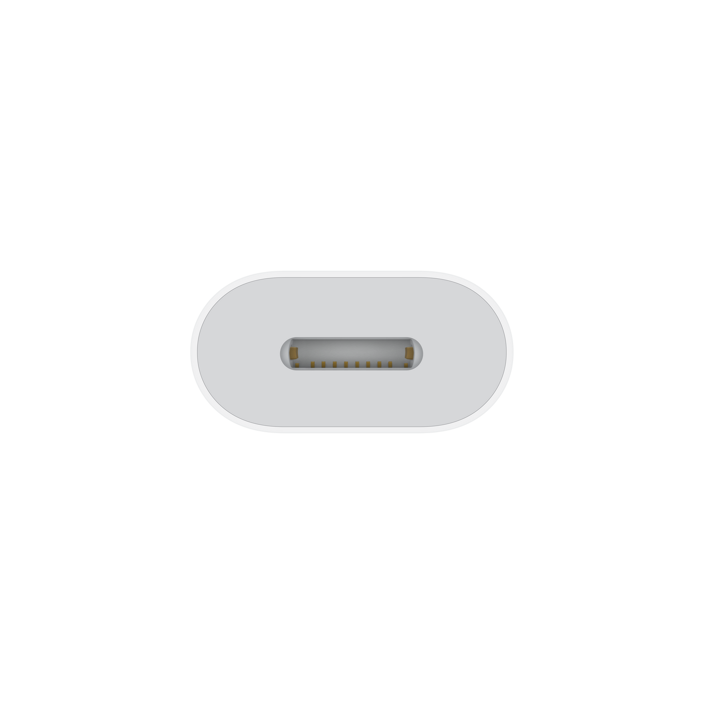 USB-C to Lightning Adapter